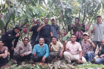 KUPS KoKa Pansel Lestari bangkitkan potensi Kopi dan Kakao di Panti Selatan