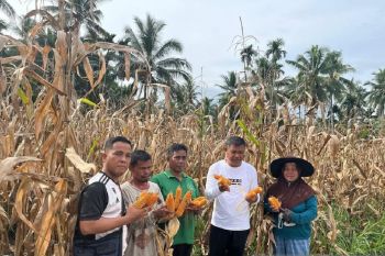 Dukung ketahanan pangan, Khairuddin Simanjuntak luncurkan program aspiratif ke masyarakat