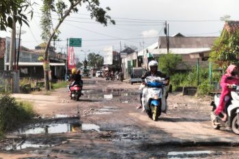 Pemkab Lampung Selatan prioritaskan perbaikan jalan rusak lebih dari 10 tahun