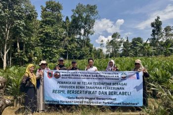 Pemprov Kalsel terapkan sertifikasi daring bagi penangkar benih sawit