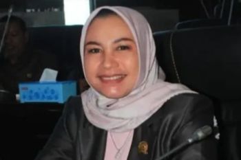 Ketua DPRD Kotabaru Suwanti dukung pasar wadai di objek wisata Siring Laut