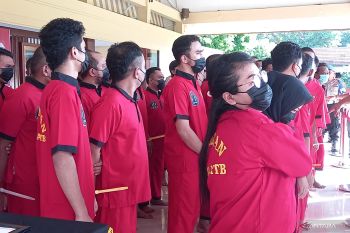 Polda NTB ungkap 29 kasus narkoba dengan 49 tersangka