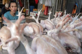 Palu konsisten jaga stabilitas harga bahan pokok di pasar