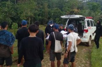 Dinas Kesehatan Lebak mendata 247 warga korban gigitan ular berbisa