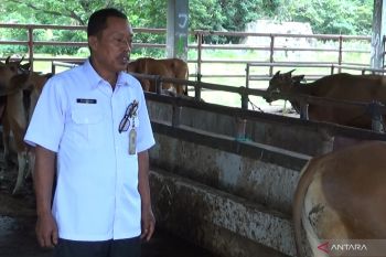 RPH Kendari siapkan dokter hewan dan juru sembelih untuk pemotongan kurban