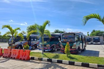 BPTD NTT: Angkutan bus umum wajib masuk Terminal Bimoku