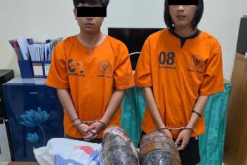 BNNP Bali gagalkan perdagangan 1,9 kg ganja di Pasar Sangsit Buleleng