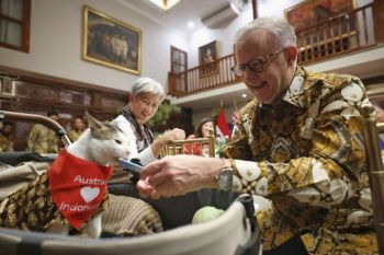 Kucing Presiden Prabowo "Bobby Kertanegara" dapat hadiah dari PM Australia, syal berwarna merah