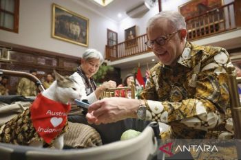 PM Australia beri kalung syal untuk kucing Prabowo "Bobby Kartanegara"