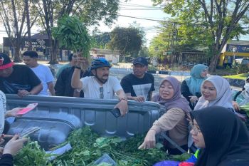 Dislutkan Kalsel kampanyekan GEMARIKAN tingkatkan konsumsi ikan