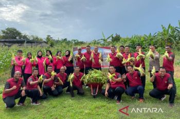 Polres Bangka Barat panen jagung bantu ketahanan pangan