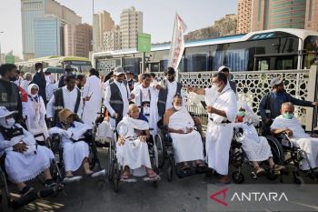 Jamaah calon haji kembali diingatkan agar ingat nomor Bus Shalawat dan terminal