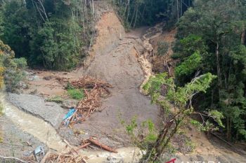 19 warga hilang akibat banjir di Pegunungan Arfak
