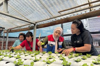 Pertamina berdayakan IRT wujudkan ketahanan pangan di Bitung