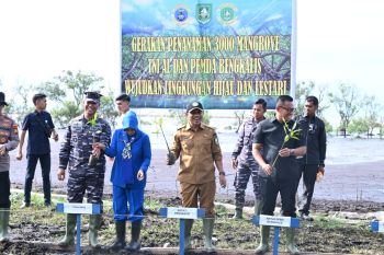 Danlanal Tanam 3000 mangrove, ini harapan Wabup Bengkalis