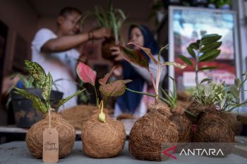 Kerajinan tanaman hias kokedama