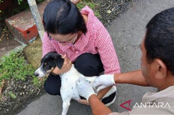 Unpatti  tingkatkan pengendalian dan pencegahan rabies di Ambon