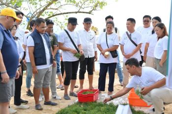 PLN-Unud sinergi kuatkan kemandirian ekonomi