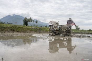 Indonesia moves confidently towards food self-sufficiency