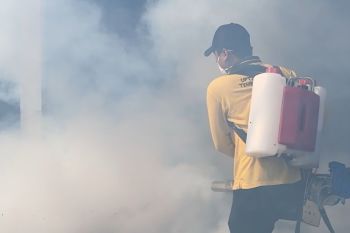 DBD meningkat, Dinkes Inhil lakukan fogging