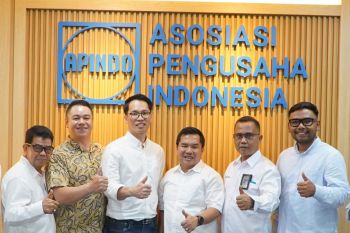 PLN Batam-Apindo perkuat sinergi demi kemajuan sektor energi dan industri