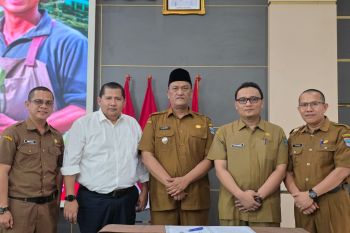 Pemkab Pasaman Barat segera tetapkan lokasi lumbung swasembada pangan