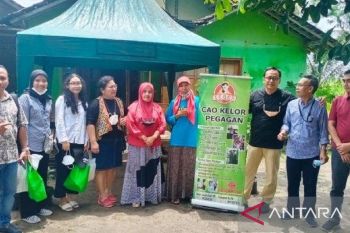 Manfaatkan KUR BRI, pengusaha wanita ini sulap kelor jadi aneka olahan pangan yang digemari