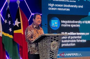 Pemerintah kembangkan inovasi pendanaan untuk lindungi terumbu karang