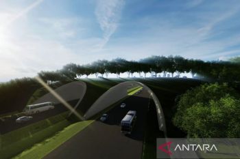 Waskita Karya bangun jembatan satwa di sekitar Tol IKN Seksi 3B