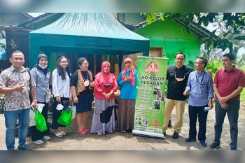 Dukungan KUR BRI perluas pasar dan modal produk daun kelor buatan Siti Fatimah