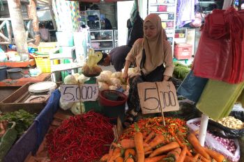 Harga cabai di Palembang turun jadi Rp20 ribu per kilogram
