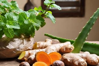 6 Obat herbal maag kronis paling ampuh yang bisa dicoba sekarang