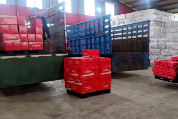 Kemensos salurkan bantuan untuk korban gempa Bengkulu