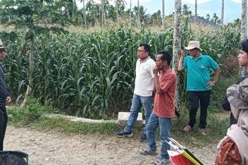 Legislator Khairuddin Simanjuntak, Wujudkan Harapan Petani