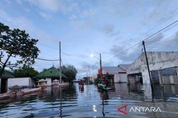 Pelindo: Aktivitas Pelabuhan Semarang tidak terdampak banjir