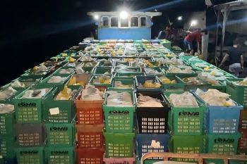 Bea Cukai Tembilahan gagalkan penyelundupan 15 ton mangga ilegal