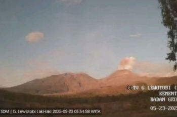Gunung Lewotobi Laki-Laki di Flores Timur erupsi pada Jumat pagi