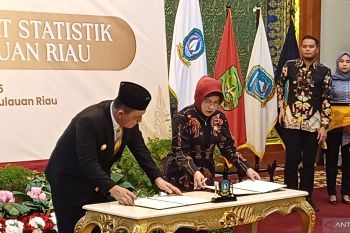 BPS RI: PDRB per kapita Kepri di atas rata-rata nasional