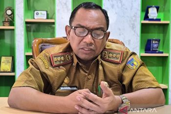 Pemprov Sulteng jaga lahan pertanian pangan berkelanjutan untuk swasembada