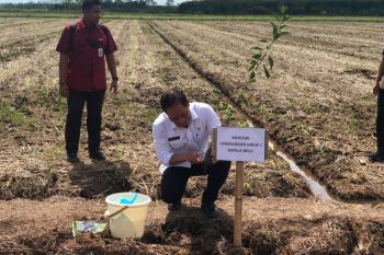 Kementerian LH targetkan 800 Desa Mandiri Peduli Gambut berdiri di Indonesia