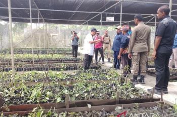 Pemkab perkuat sektor pertanian hidupkan ekonomi lokal Jayapura