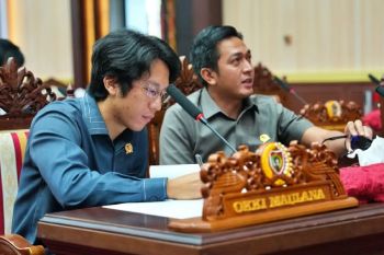 DPRD Kalteng minta optimalkan energi baru terbarukan