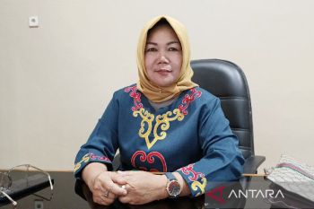 Realisasi PAD Barito Selatan capai 27,16 persen