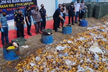 Rugikan negara Rp135 juta, Bea Cukai bakar 23,290 kg Mangga impor ilegal di Dumai