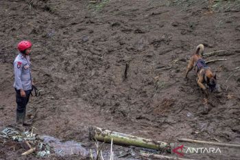 Why Indonesia urgently needs an early landslide warning system 