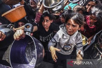 PM Albanese: alasan blokade Israel di Gaza tidak dapat dipercaya