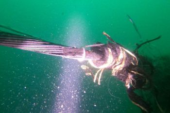 Layanan internet sempat terganggu, Cloudflare jelaskan penyebabnya