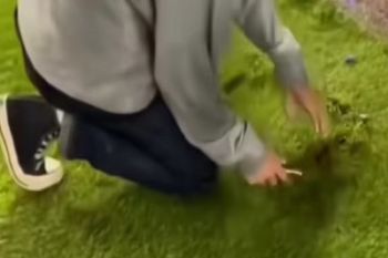 Cerita Persib Juara, rumput Stadion GBLA dan barak militer