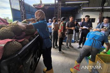 Kadin siap kawal ekspor durian Parigi Moutong ke Tiongkok
