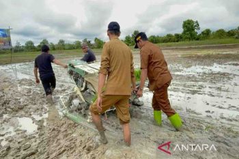 Wabup Barsel: Penanaman padi bersama guna mendukung swasembada pangan daerah